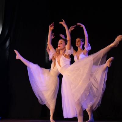 Bodymotion 24 21